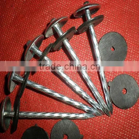 Fast Sell Good Quanlity Umbrella Head Twisted Nails photo-3