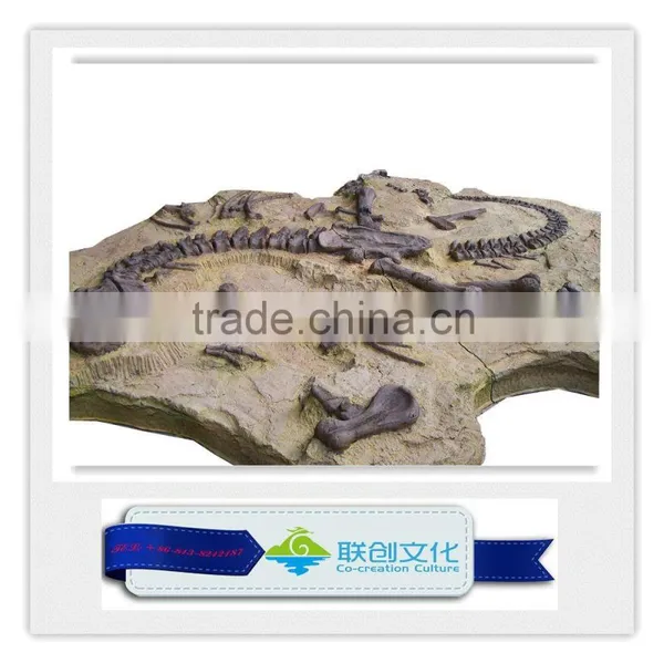 High Quality Original Size Dinosaur Fossil photo-2