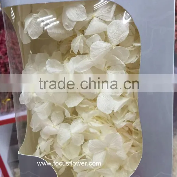 Top Quality Flower Export Preserved Flower Colorful Wholesale Artificial Hydrangea Flowers photo-3