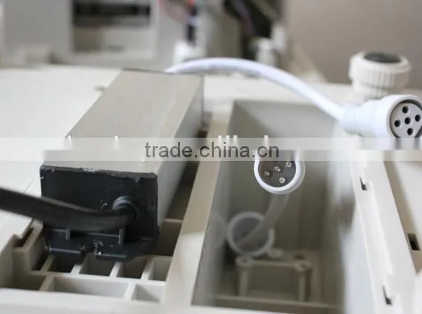 Super ABS Housing Waterproof Scale for Food Market photo-4