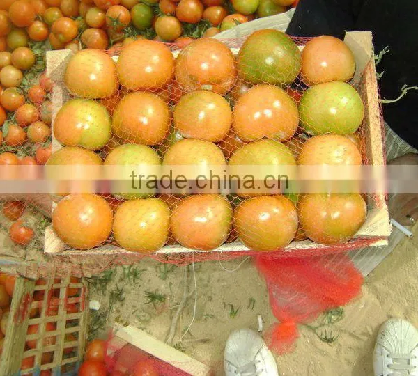 Fresh Tomato photo-2