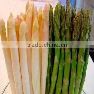Wholesale China Product Canned Asparagus in Brine