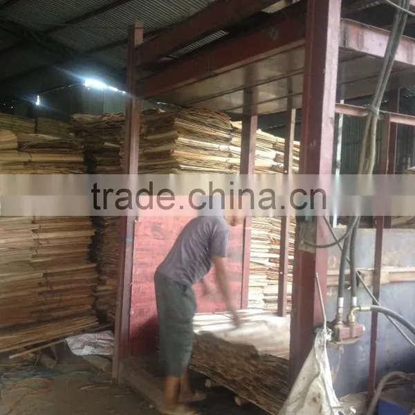 Core Veneer Product Plywood