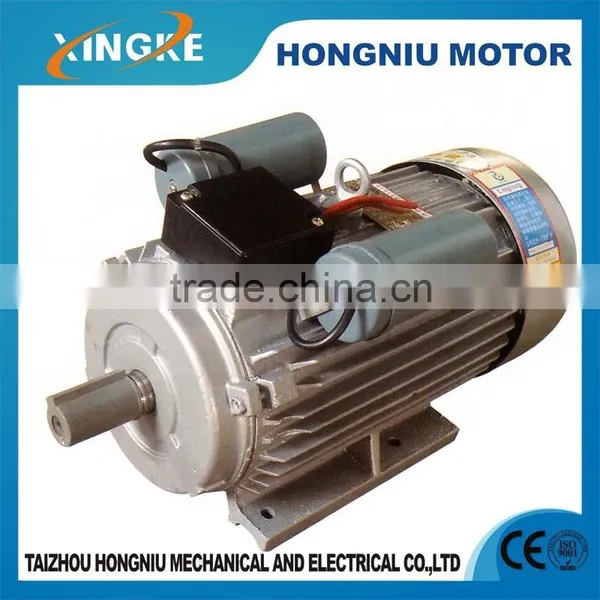 YL100L-4 Double Value Capacitor Asynchronous Motor