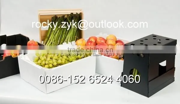 Corrugated PP Orange Package Box Packing Carton for Orange photo-4