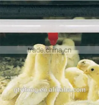 Good Quality Chicken Drinker Nipples/ Drinking System for Chicken House