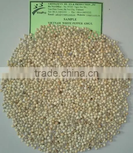 VINAPRO WHITE PEPPER 630G/L (+841657106604 - WHATSAPP) photo-3