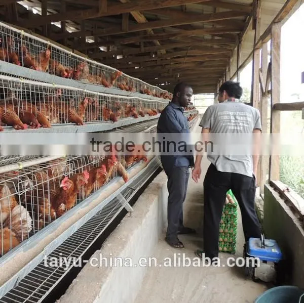 TAIYU Design Layer Chicken Cages In Kenya photo-4