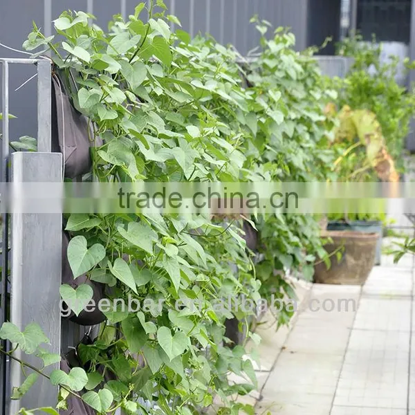 Vertical Garden Systems Vertical Garden Modules