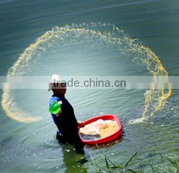 Feed Drying Machine/dry Fish for Poultry Feed Machine photo-6