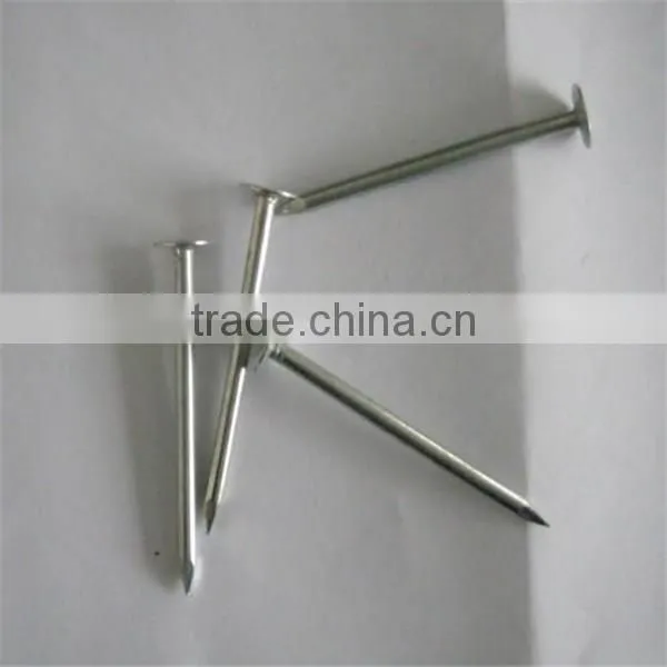 Collated Nails, Common Nails, Roofing Naiils photo-2