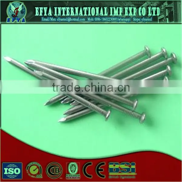 Common Wire Nails photo-2