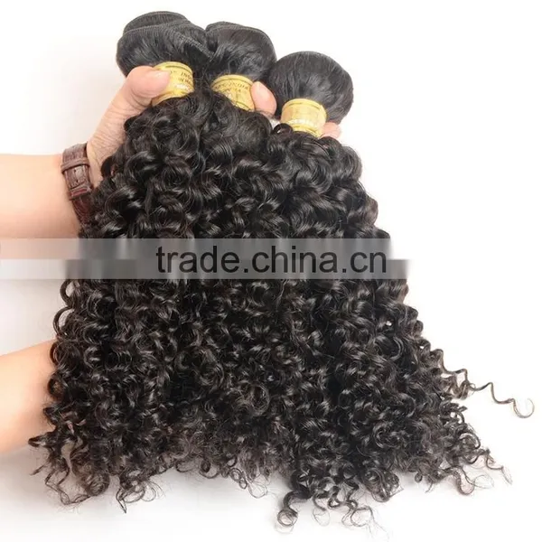 Wholesale 100% Natural Indian Human Hair Price List, Unprocessed Virgin Raw Indian Curly Hair photo-4