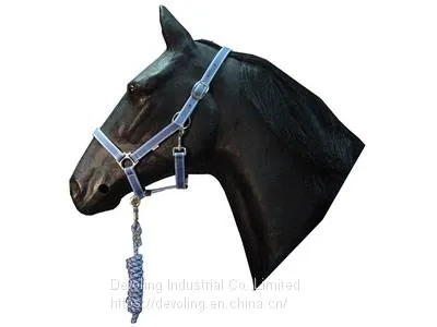 Horse Halter photo-4