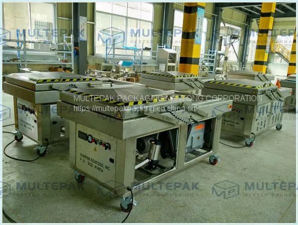 Multepak Automatic Double Chamber Food Vacuum Packaging Machine photo-4
