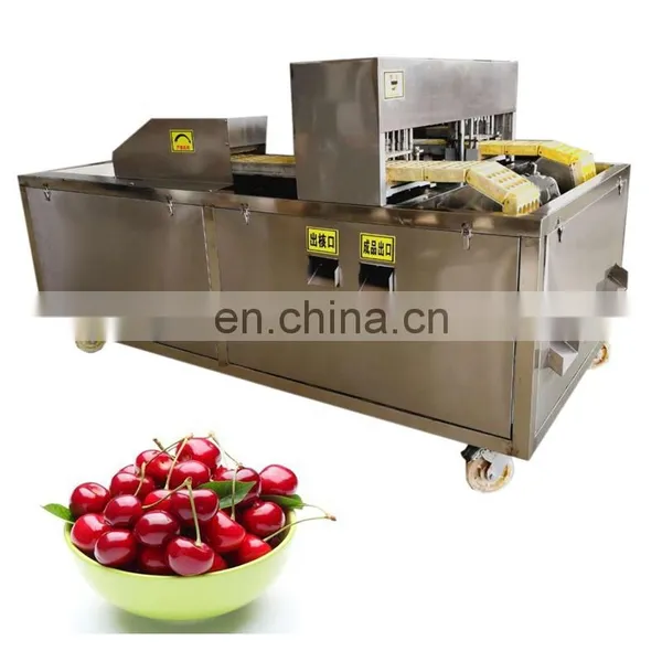 Automatic Fruit Stone Extractor Apricot and Apple Core Removal Machine. photo-2