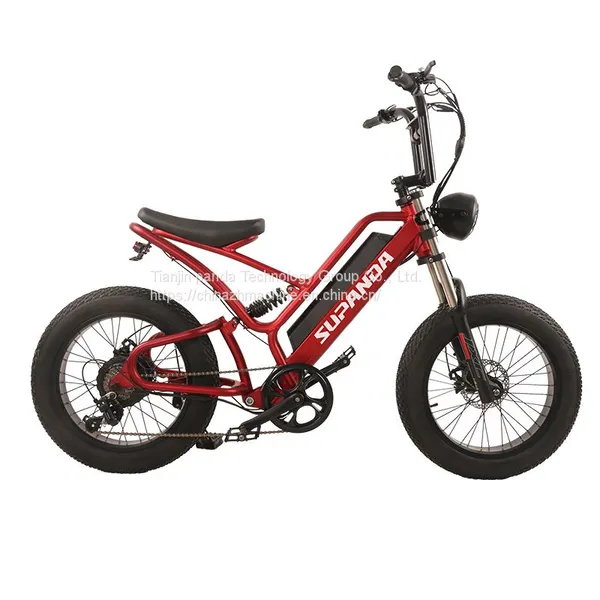 Hot Selling E-bike 20 Inch Electric Bicycle Wholesale Wholesale Electric Bicycles photo-3