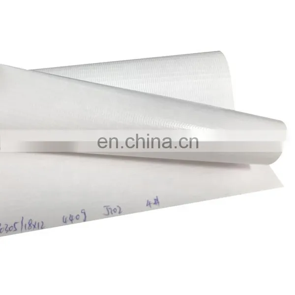 440g 300*500D 18*12 Golssy PVC Felx Banner Rolls ( Cold Lamination, Frontlit) photo-4