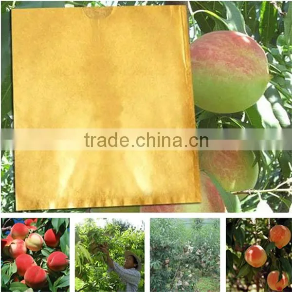 Paper Material Fruit Paper Bag photo-6