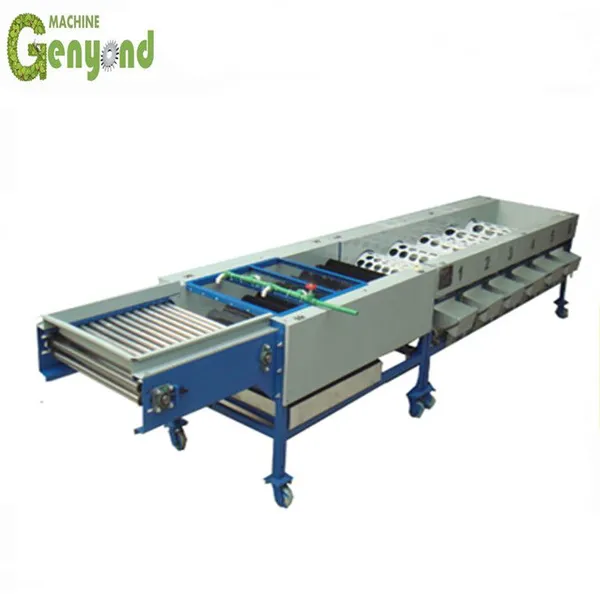 Fruit Sorting Machine Can Use for Pear/ Tomato/ Cherry/ Apple/ Orange/ Lemon/ Mango photo-2