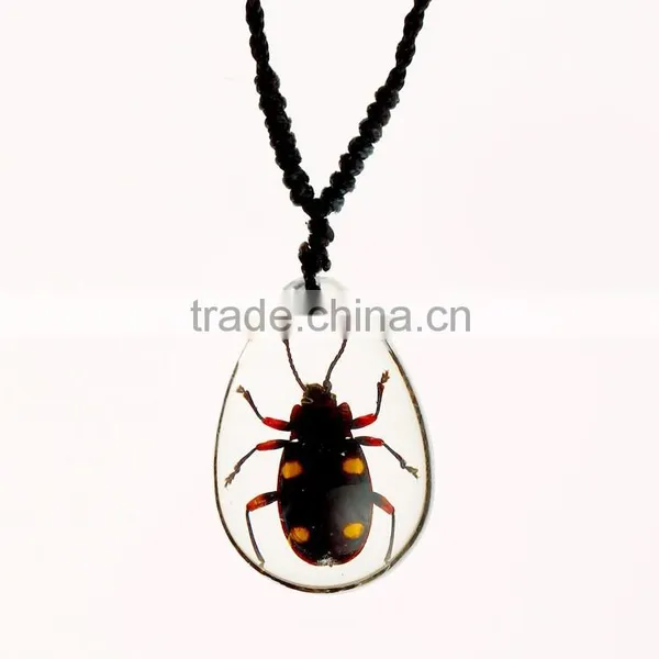 2016 Hot-selling Souvenir Gifts Resin Necklace With Real Insect photo-4