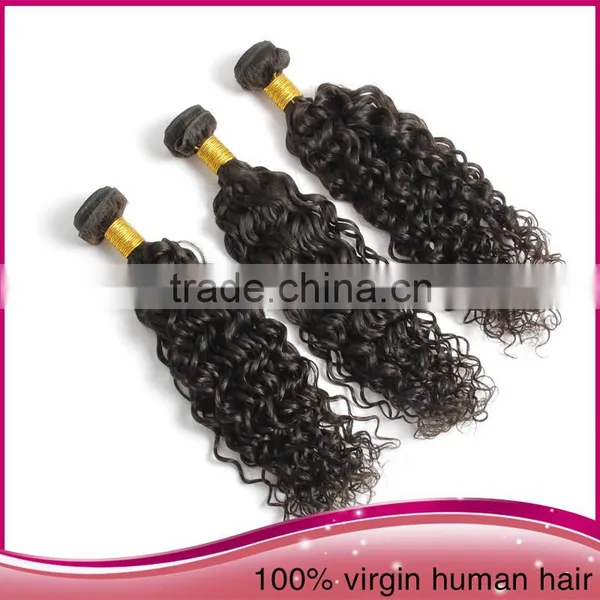 Cheap Curly Human Hair Weaving Virgin Indian Curly Hair Weaving Cheap Burgundy Curly Hair Weaving photo-4