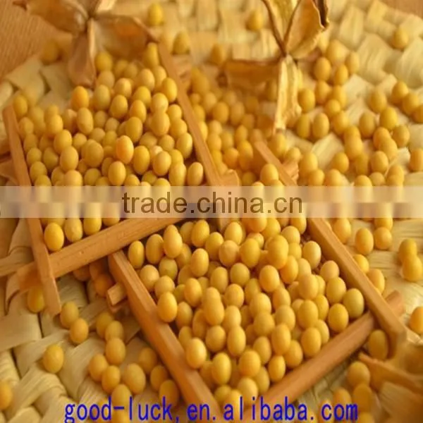 Chinese Soya Beans ,non-GMO,good Quality,cheap Price Quality Choice photo-4