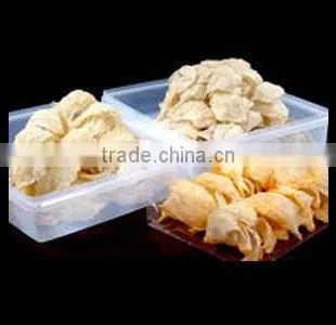 Bird Nest From Indonesia is The Best in the World