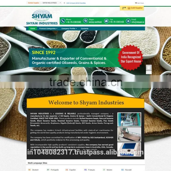 Online Website Design photo-2