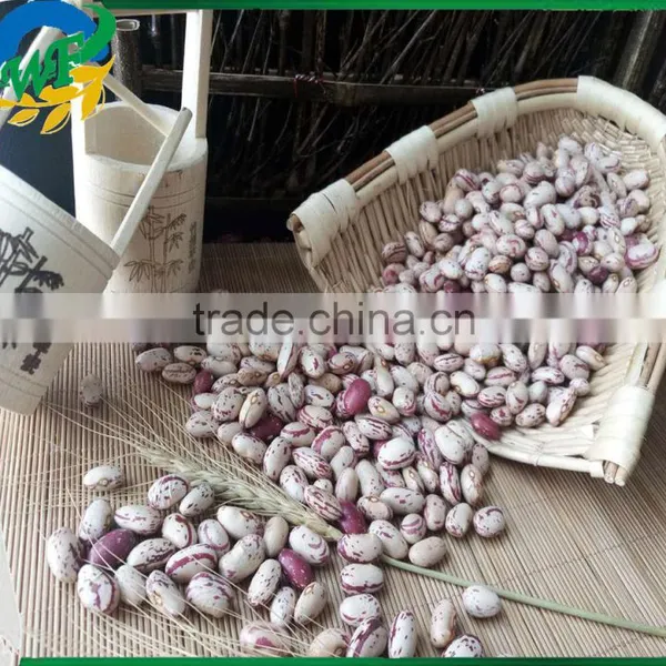 2015 Chinese Light Speckled Kidney Beans American Round for Europ photo-2
