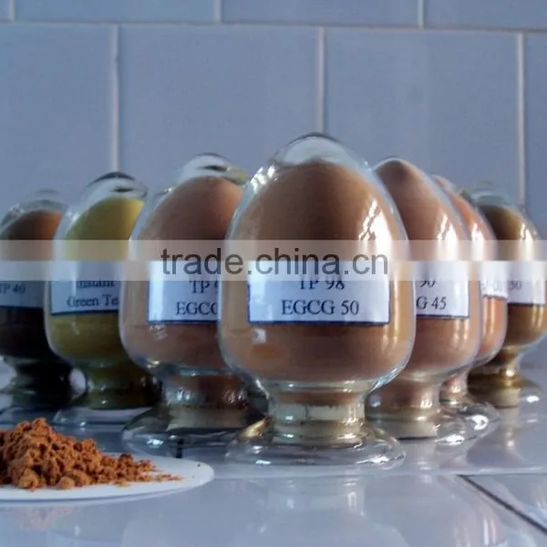 Green Tea Extract 70% Tea Polyphenols photo-2