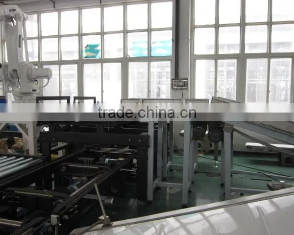 Robot Palletizer photo-2