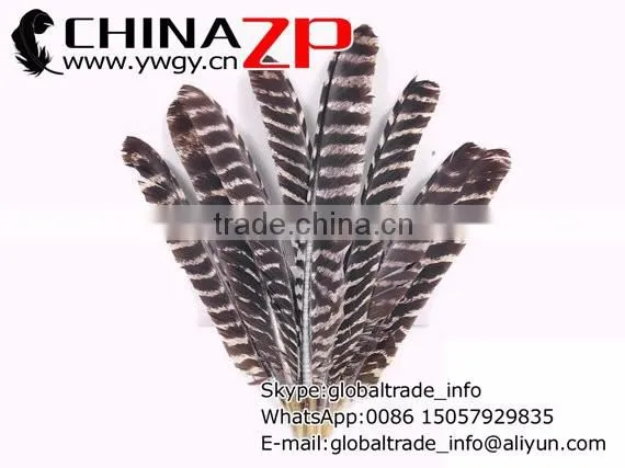 Beautiful Plume Crafts Wholesale Cheap Bulk Dyed Wild Turkey Feathers photo-3