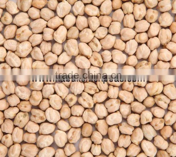 Protein Chickpeas Supplier photo-2