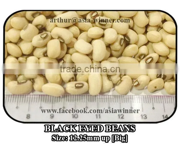 Cowpeas [Big] photo-3