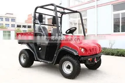 BEACH BUGGY photo-2