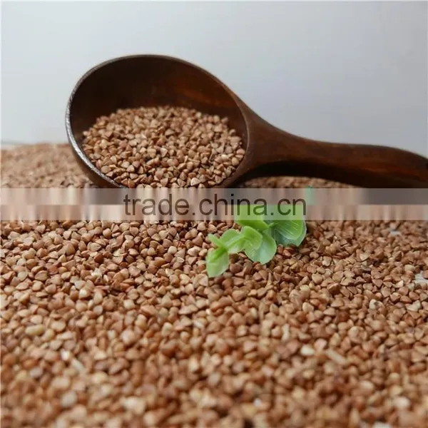 Roasted Buckwheat Kernels Market Price photo-3