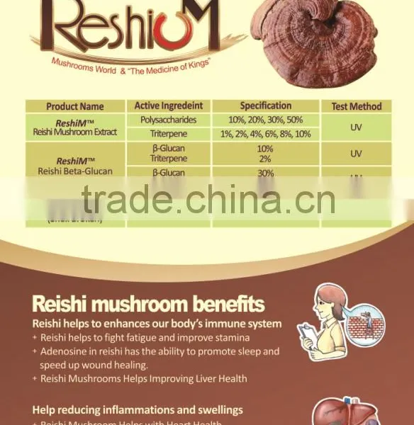 High Quality Ganoderma Lucidum P.E/ Reishi P.E/Reishi Mushroom P.E Polysaccharide And Triterpene photo-5