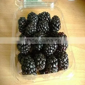 IQF Frozen Blackberries