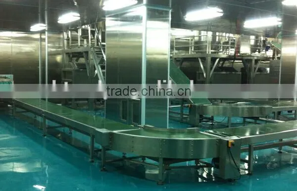 Industrial Belt Conveyor System photo-4