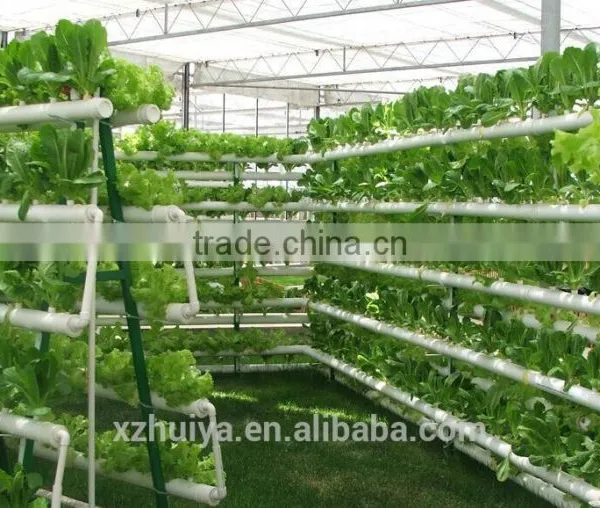 Hydroponic Seeding Growing Sponge for Vegetables photo-6