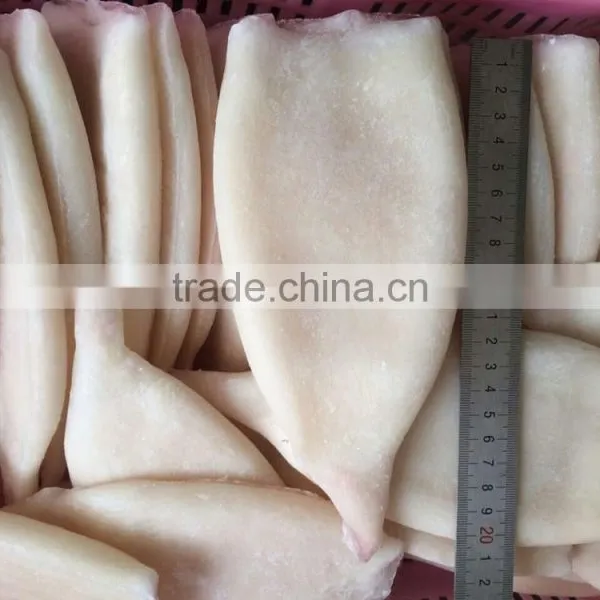 Frozen Squid Tubes With Different Size in Sale photo-4