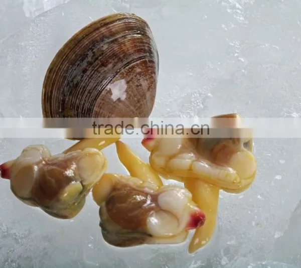 IQF Surrf Clam/short Necked Clam Meat photo-2