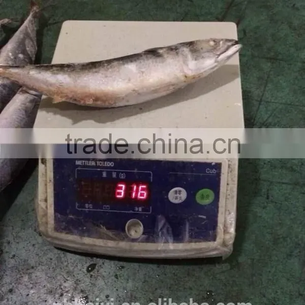 300-400g Frozen Fish photo-5