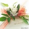 Sheer Ribbon,organza Ribbon