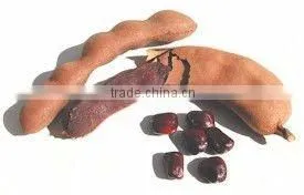 TAMARIND