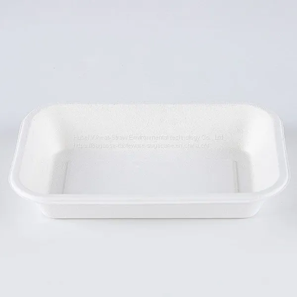 New Hot Disposable Biodegradable 24OZ TRAY Bagasse Food Box Take Away Sugarcane Container photo-3