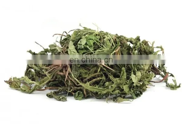 Pure Dried Dandelion Leaves for Herbal Tea/ Organic Pure Dried Dandelion Leaves From Vietnam photo-4
