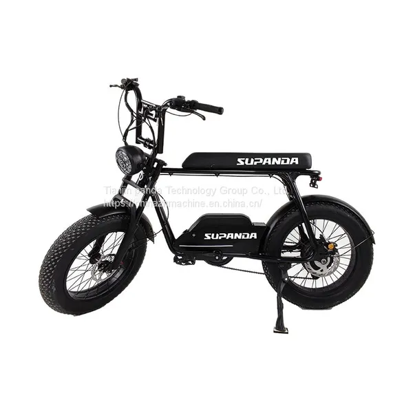 48V 350W Hot Sale Electric Bike 48V Electric Bike 350W Electric Bike