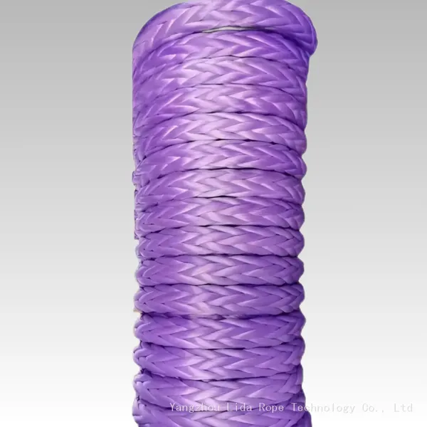 High Strength UHMWPE Rope 12 Strands Synthetic Braided Rope Sk75 Hmpe Rope for Sports EquipmentLDMAX-12 photo-2